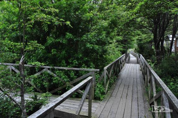 Um 'cruzamento de ruas' em Caleta Tortel, no sul do Chile